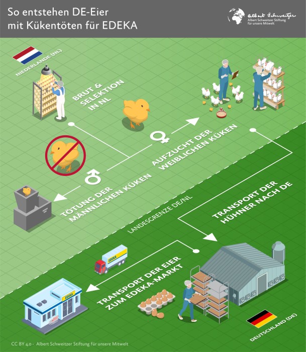 Infografik