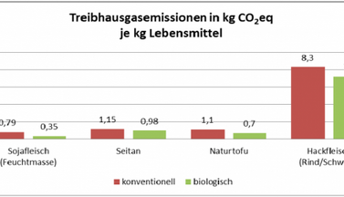 Statistik Pflanzenfleisch