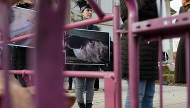 Aktivistin vor OLG Naumburg