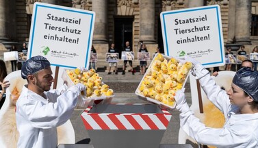 Aktion Bundesverwaltungsgericht