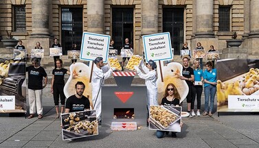 Demonstration vor Gerichtsgebäude