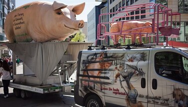 Grunzmobil veganes Sommerfest