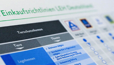 Einkaufsrichtlinienvergleich