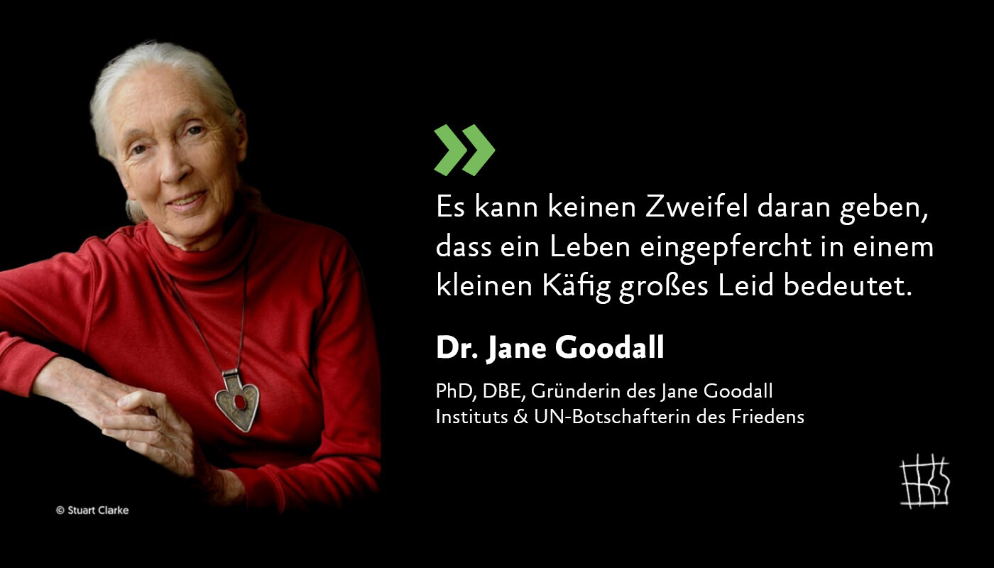 Zitat Dr. Jane Goodall