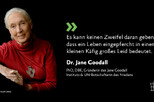 Zitat Dr. Jane Goodall