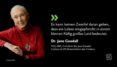 Zitat Dr. Jane Goodall