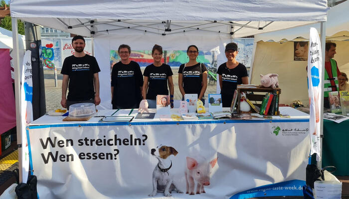 Aktionsgruppe