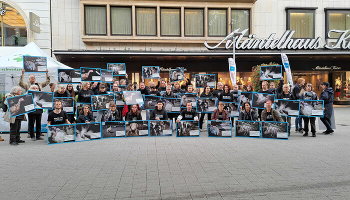Aktionsgruppe