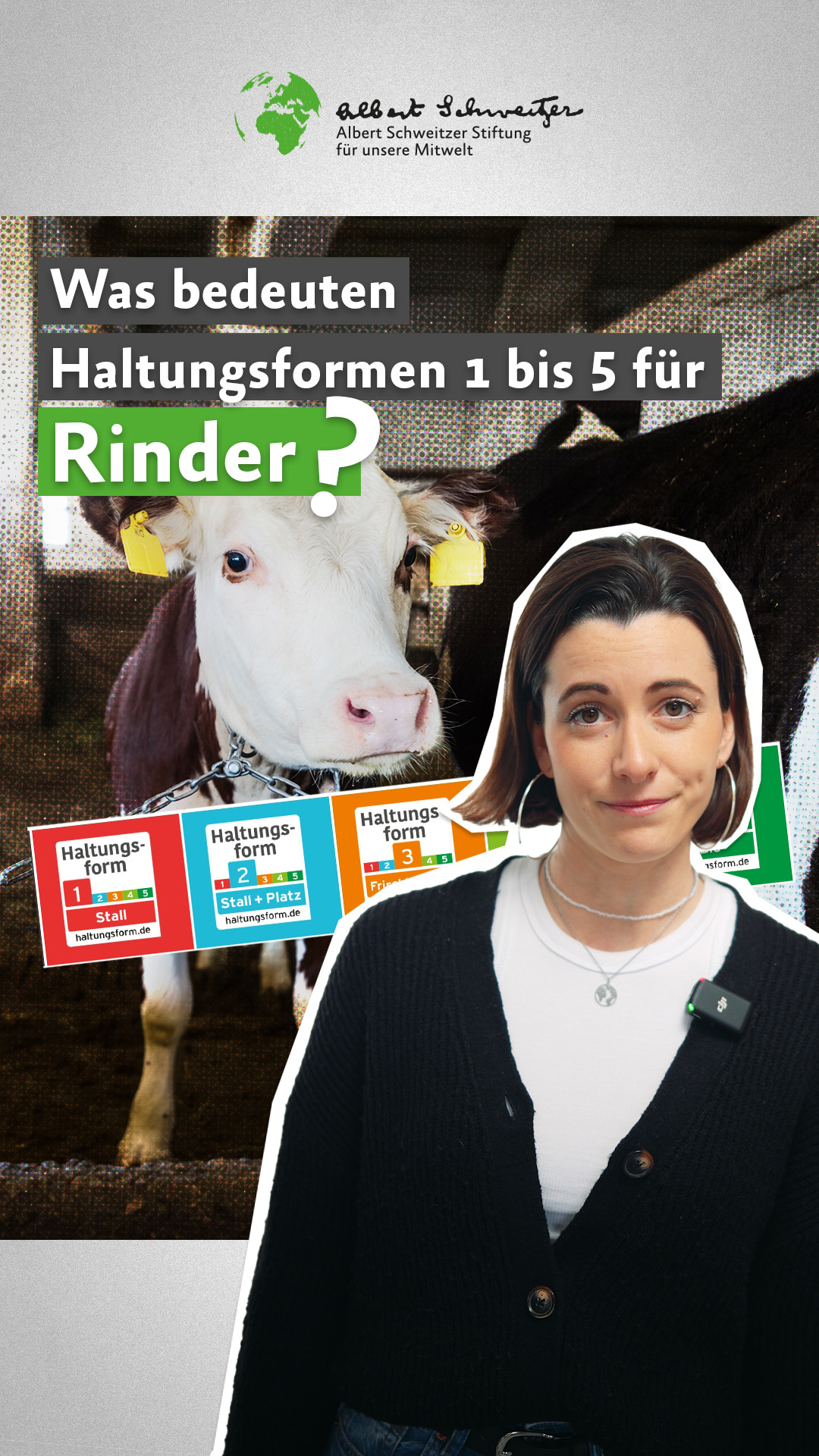 Video: Haltungsformen f&uuml;r Rinder