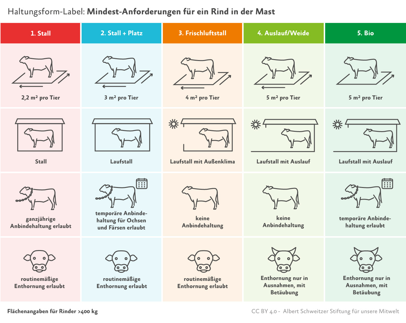 Infografik: Haltungsformen f&uuml;r Rinder