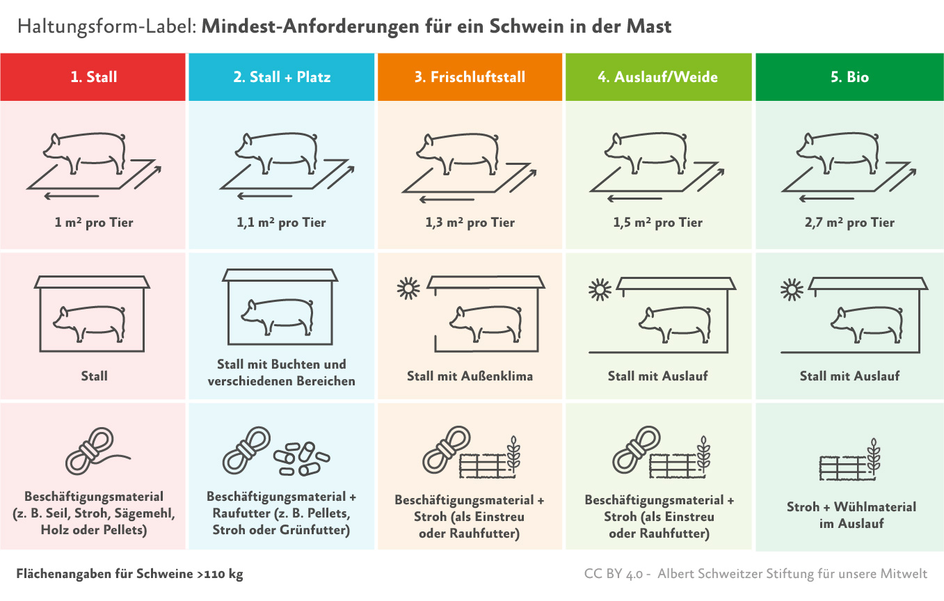 Infografik: Haltungsformen f&uuml;r Schweine