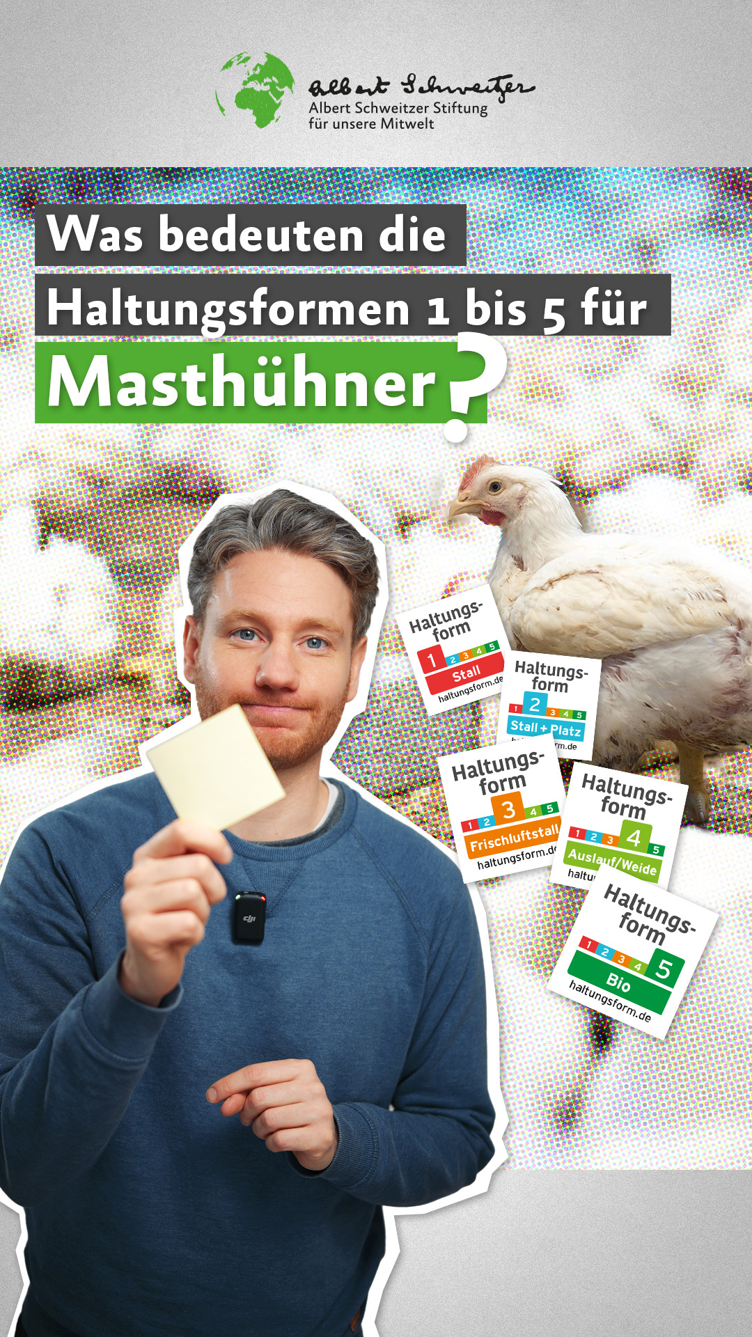 Video: Haltungsformen f&uuml;r H&uuml;hner