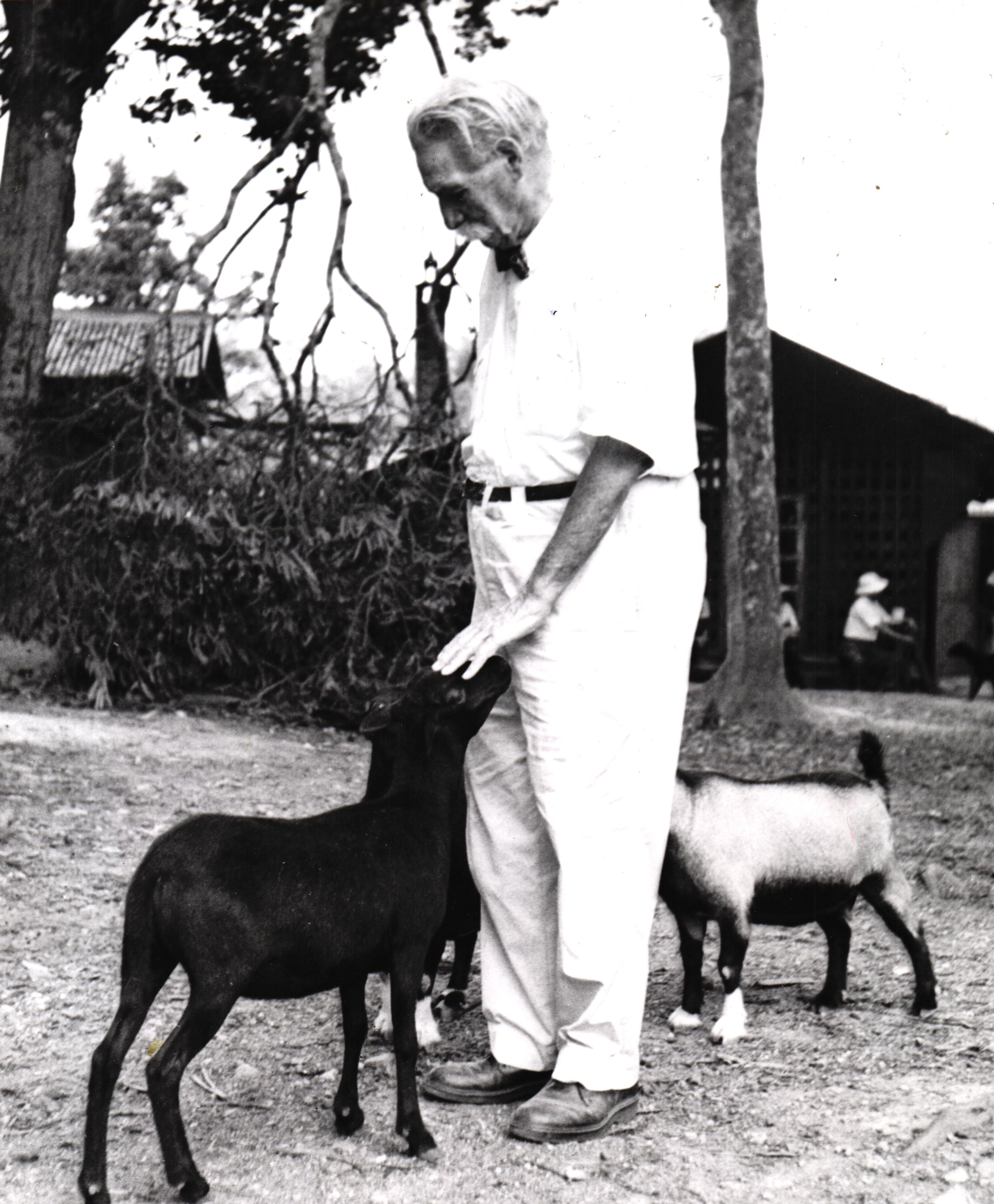 Albert Schweitzer mit kleinen Huftieren.