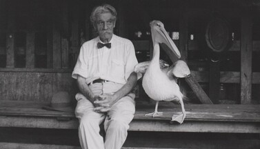 Albert Schweitzer und der Pelikan Parsifal.