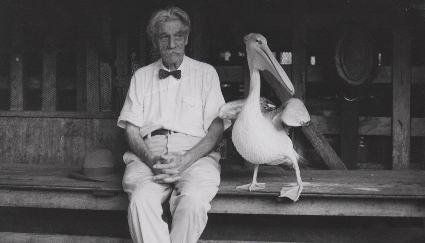 Albert Schweitzer und der Pelikan Parsifal.