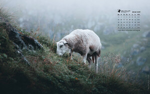 Desktophintergrund 16:10