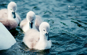 Desktophintergrund 16:10