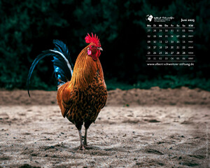 Desktophintergrund 5:4
