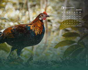 Desktophintergrund 5:4