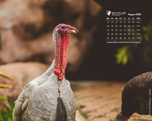Desktophintergrund 5:4