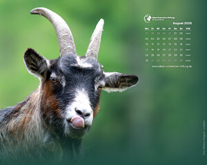 Desktophintergrund 5:4