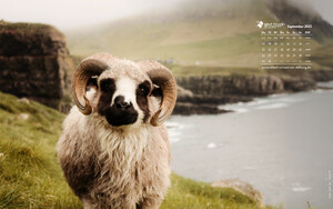 Desktophintergrund 16:10
