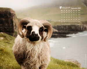 Desktophintergrund 5:4