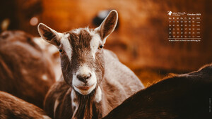 Desktophintergrund 16:9