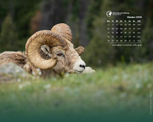 Desktophintergrund 5:4