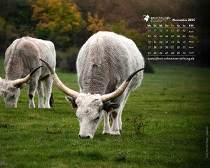 Desktophintergrund 5:4