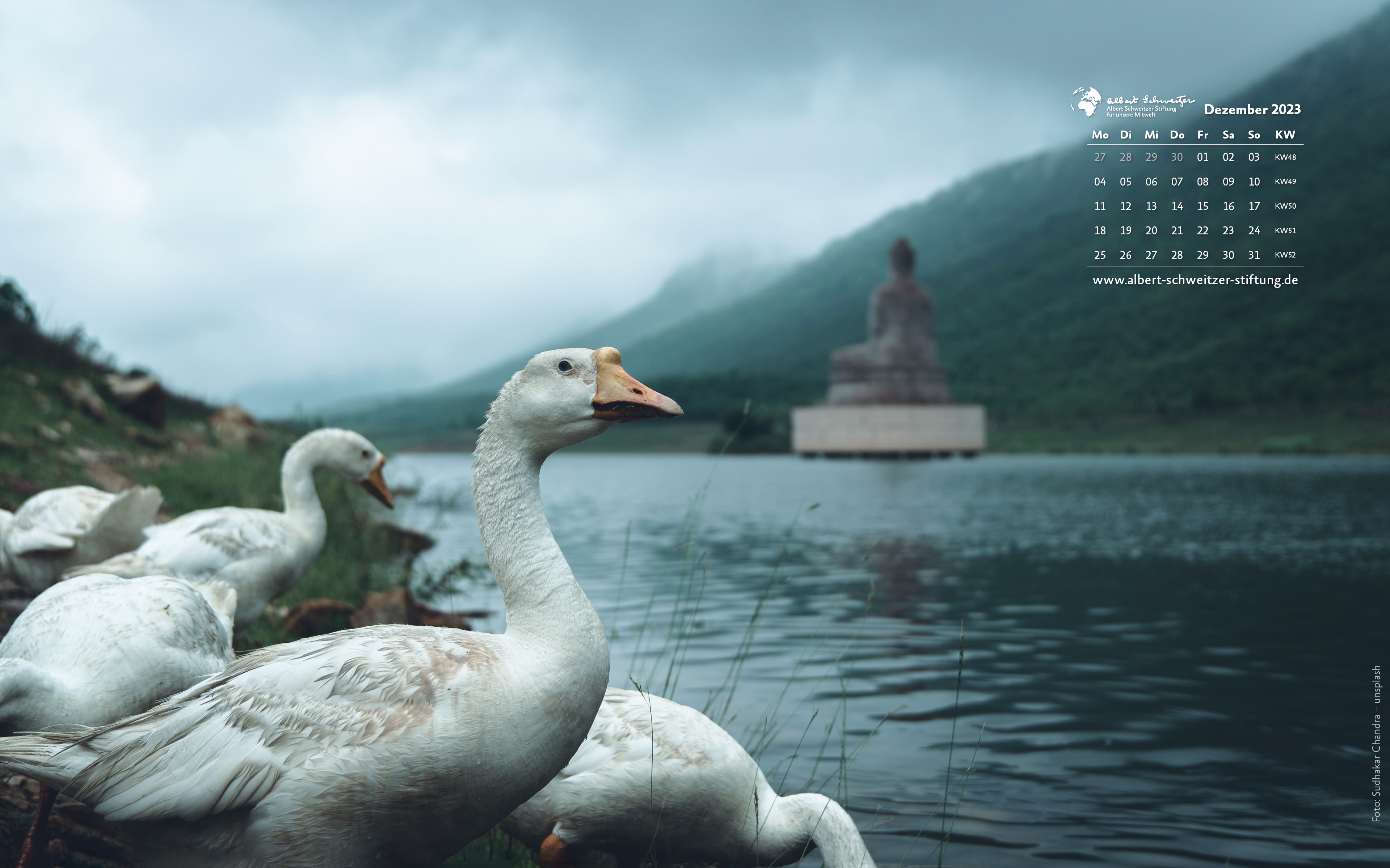 Desktophintergrund 16:10