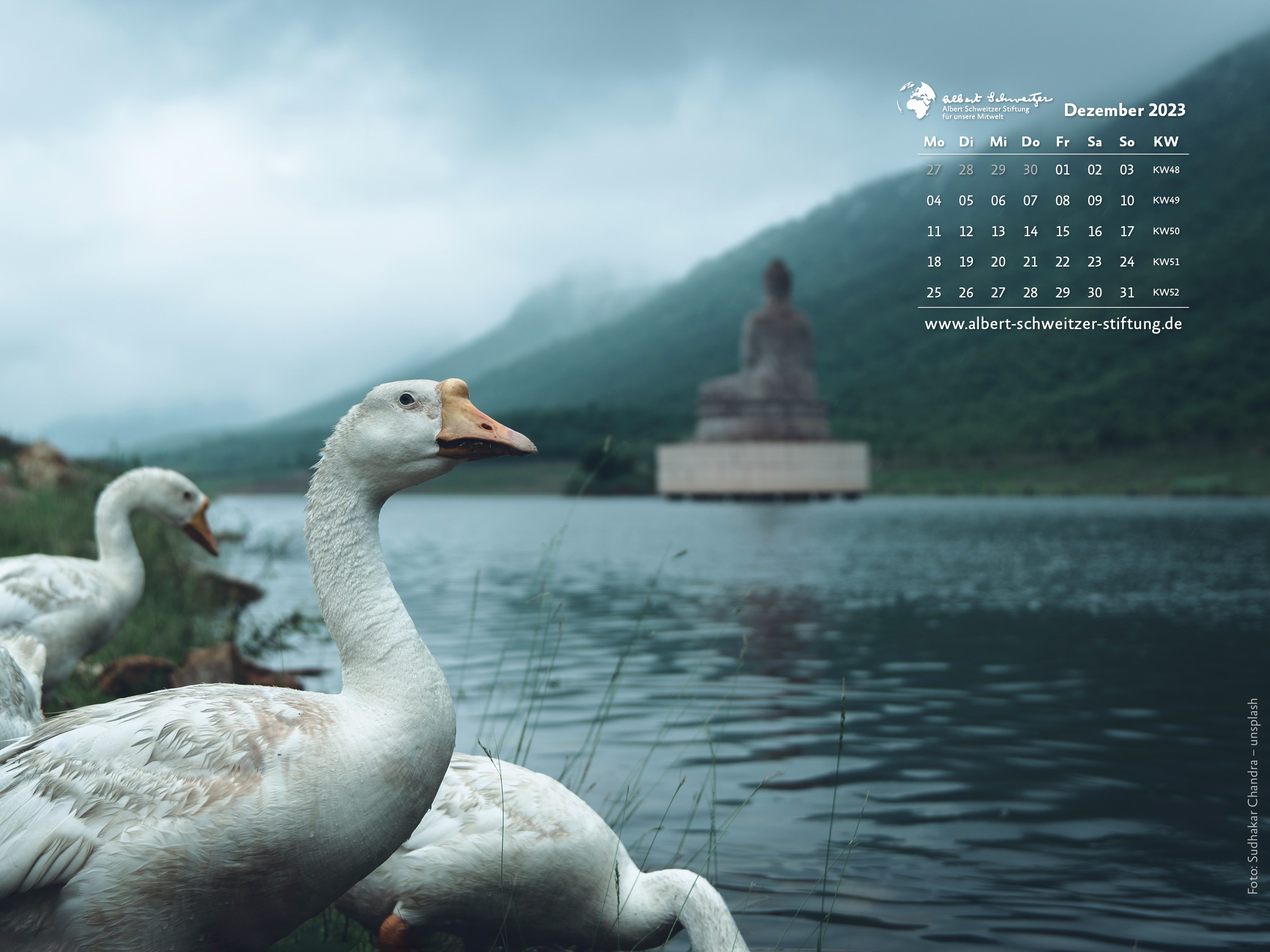 Tierkalender 4:3